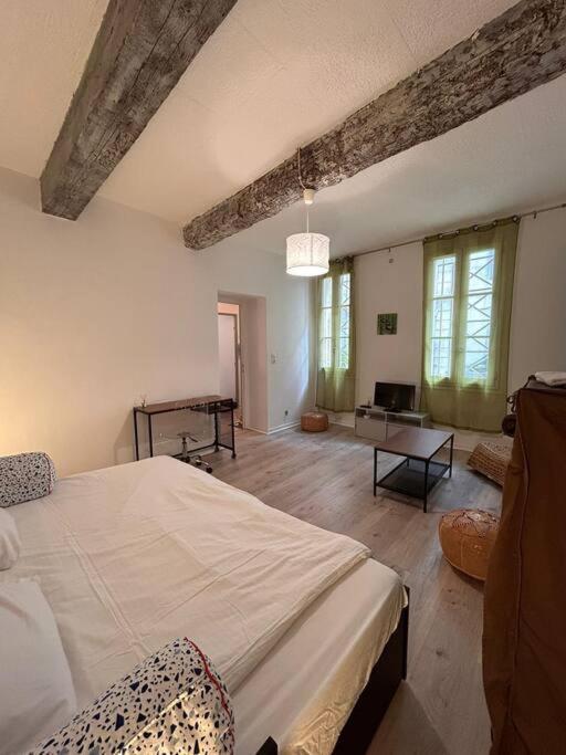 Appartamento L'Incontournable Avignone Esterno foto